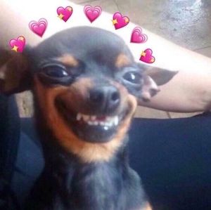 Meet your Posher, Ariana